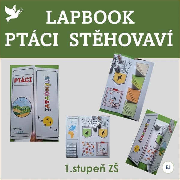 Lapbook - ptáci stěhovaví