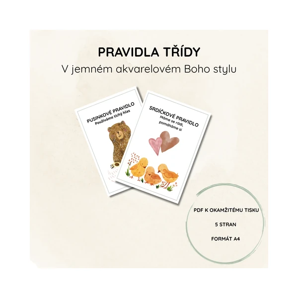 Pravidla třídy