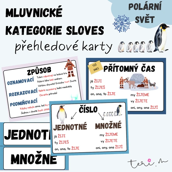 MLUVNICKÉ KATEGORIE SLOVES - téma POLÁRNÍ SVĚT