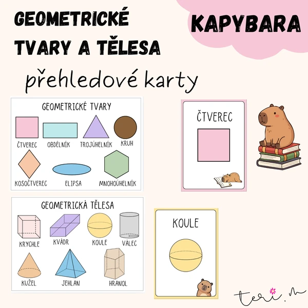 GEOMETRICKÉ TVARY A TĚLESA - téma KAPYBARA