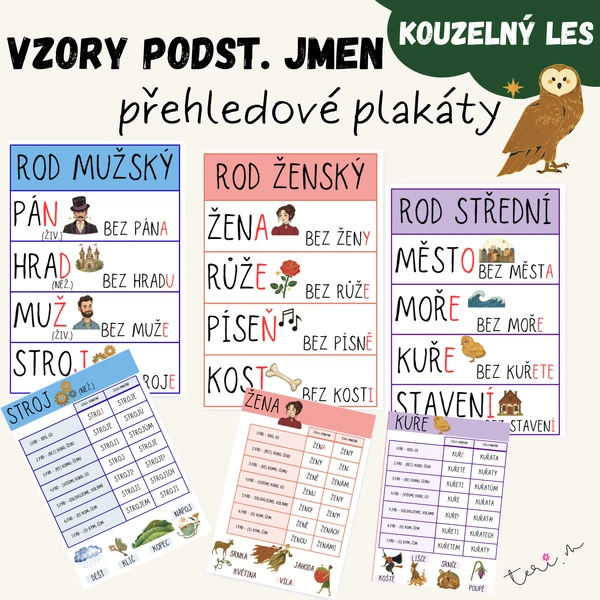 VZORY PODSTATNÝCH JMEN - téma KOUZELNÝ LES