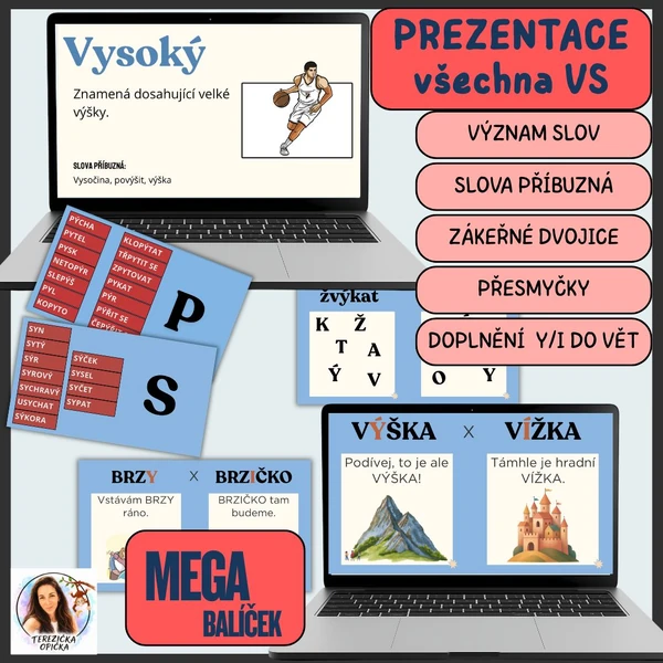 Vyjmenovaná slova / význam všech VS / PREZENTACE