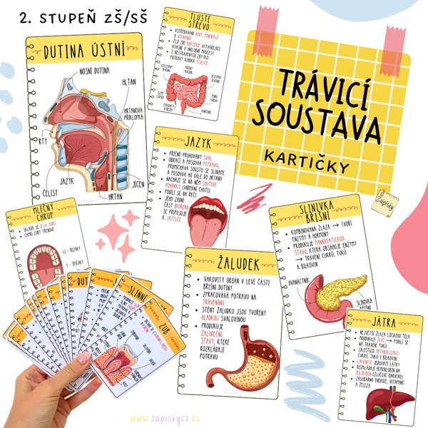 Trávicí soustava - kartičky