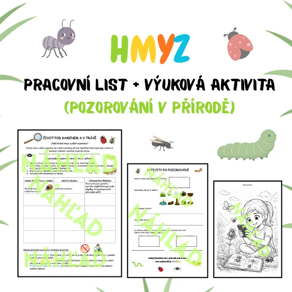 🐜 Hmyz – pracovní list a výuková aktivita na jednu vyučovací hodinu (pozorování v přírodě)