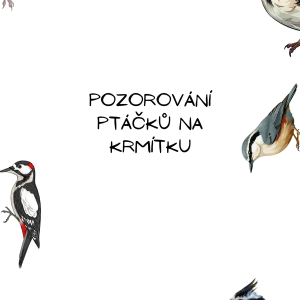 Ptáčci na krmítku