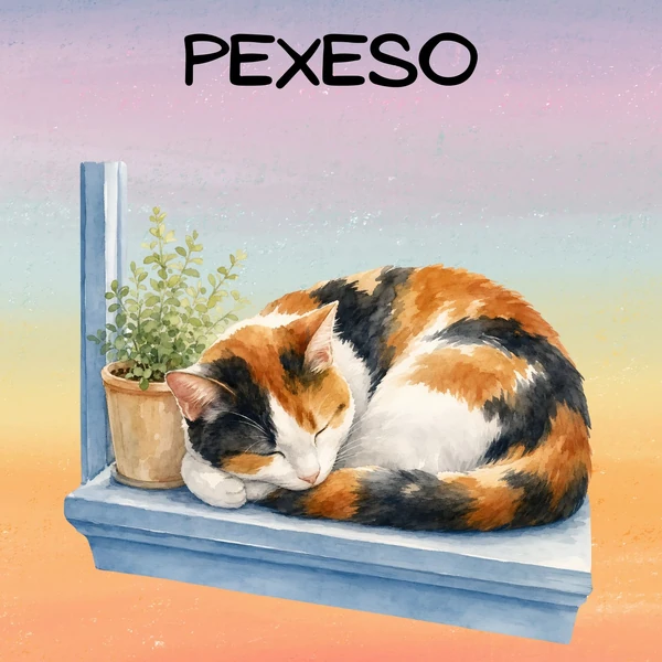 Kočičí pexeso