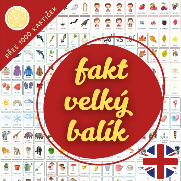 VÝHODNÝ BALÍČEK - rostoucí sbírka obrázkových kartiček v AJ