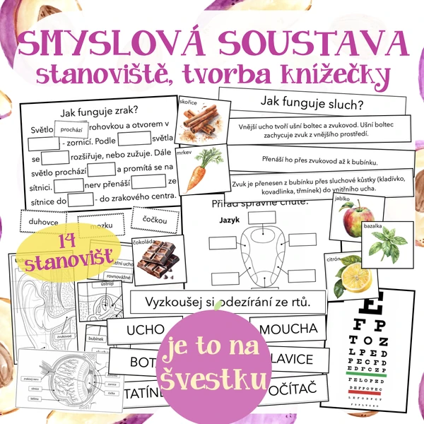 Smyslová soustava - stanoviště