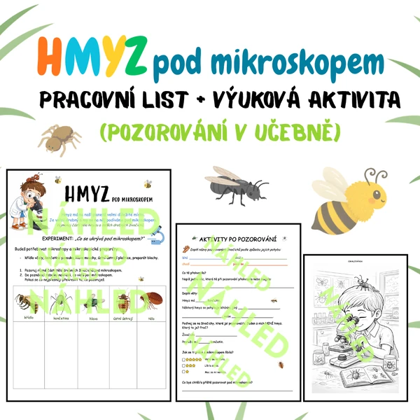 🐝 Hmyz pod mikroskopem – pracovní list + výuková  aktivita (pozorování v učebně)