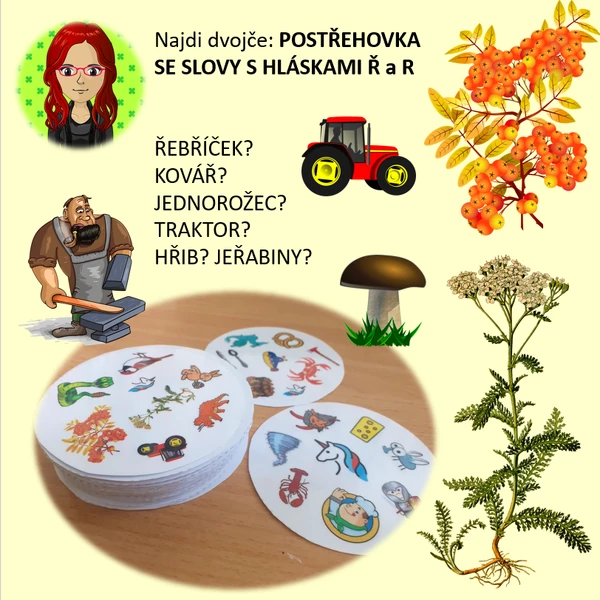 Najdi dvojče - R a Ř - logo postřehovka