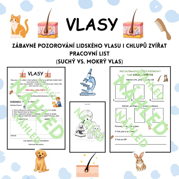 🔬 Vlasy – zábavné pozorování lidského vlasu i chlupů zvířat | pracovní list