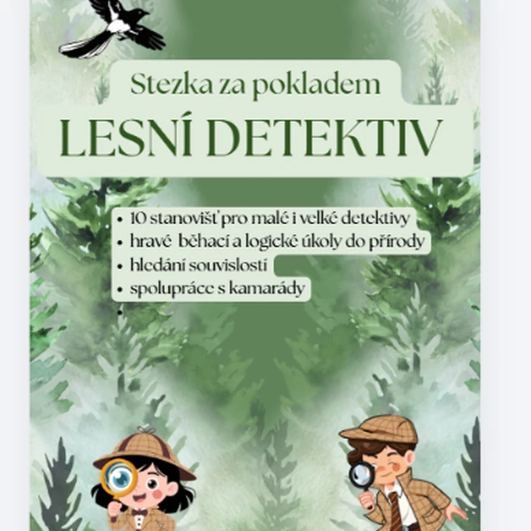 Lesní stezka