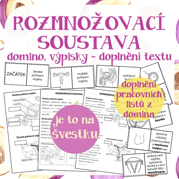 Rozmnožovací soustava