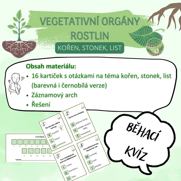 Běhací kvíz - kořen, stonek, list