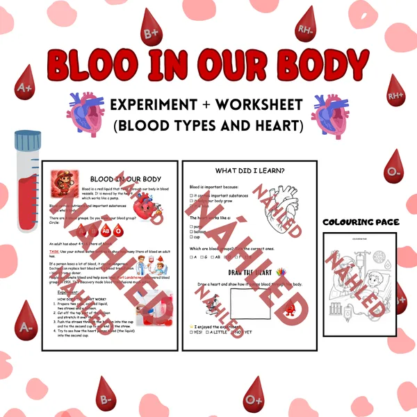 BLOOD IN OUR BODY: Experiment + Worksheet (Blood Types and Heart)
