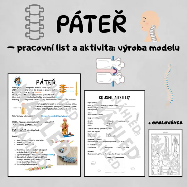 🦴 PÁTEŘ – pracovní list a aktivita: výroba modelu