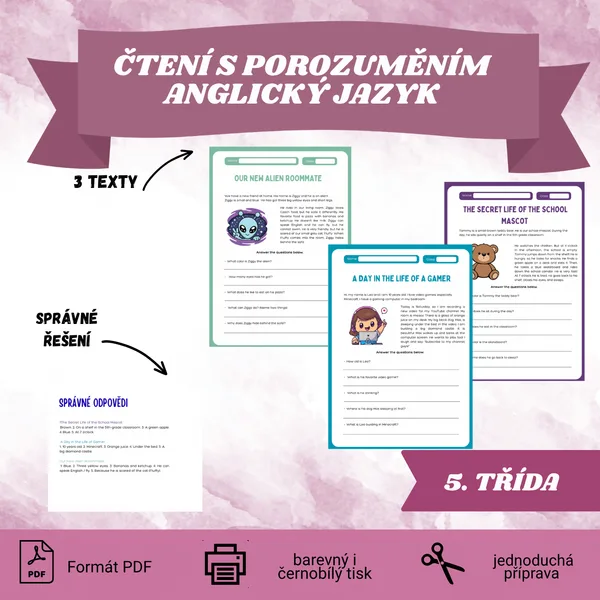 Čtení s porozuměním - anglický jazyk