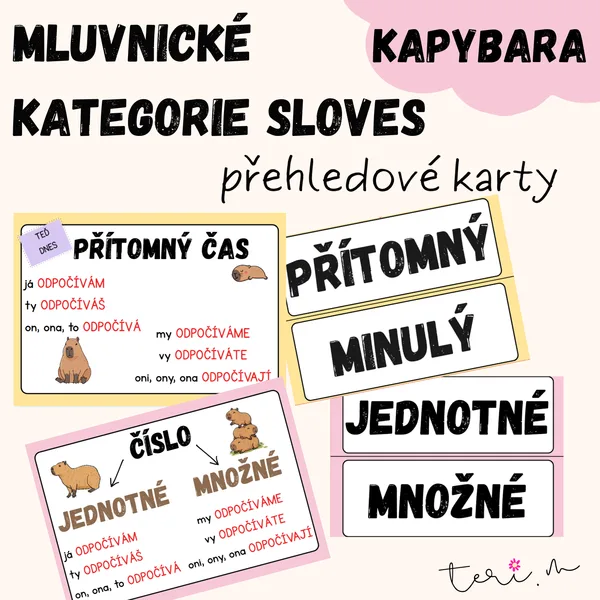 MLUVNICKÉ KATEGORIE SLOVES - téma KAPYBARA