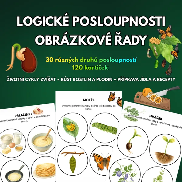 LOGICKÉ POSLOUPNOSTI: Obrázkové řady