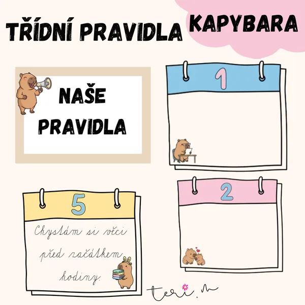 TŘÍDNÍ PRAVIDLA - téma KAPYBARA