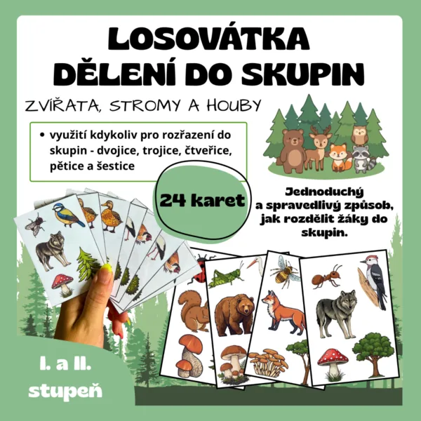 Losovátka a dělení do skupin