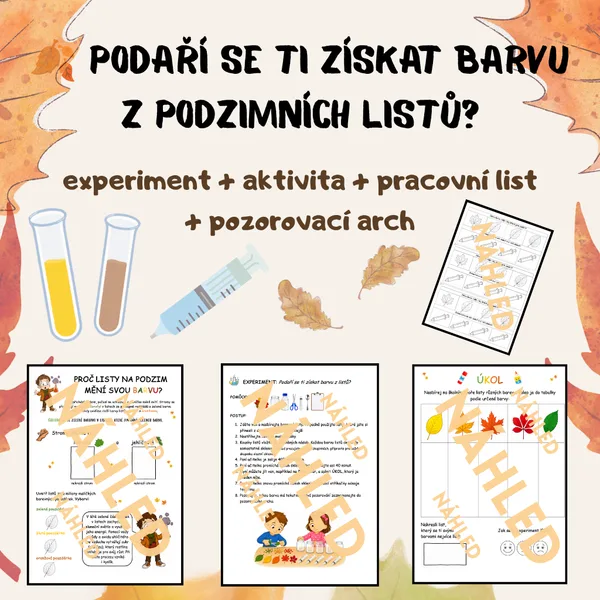 🍂 Podaří se ti získat barvu z podzimních listů? – experiment + aktivita + pracovní list + pozorovací arch