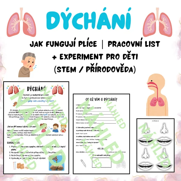 🫁 DÝCHÁNÍ – jak fungují plíce | pracovní list + experiment pro děti (STEM / přírodověda)