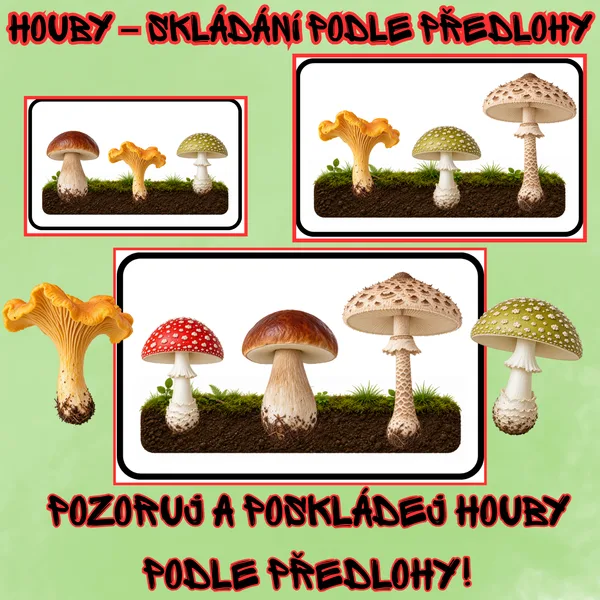 🍄 Houby – skládání podle předlohy | 16 předloh