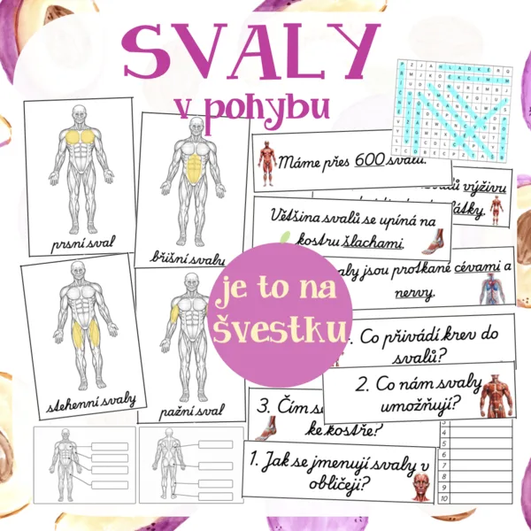Svaly v pohybu