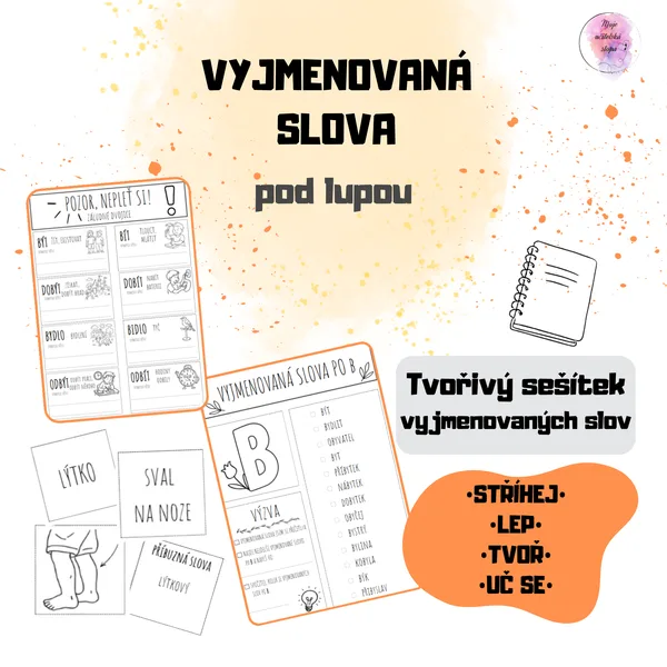 Vyjmenovaná slova pod lupou