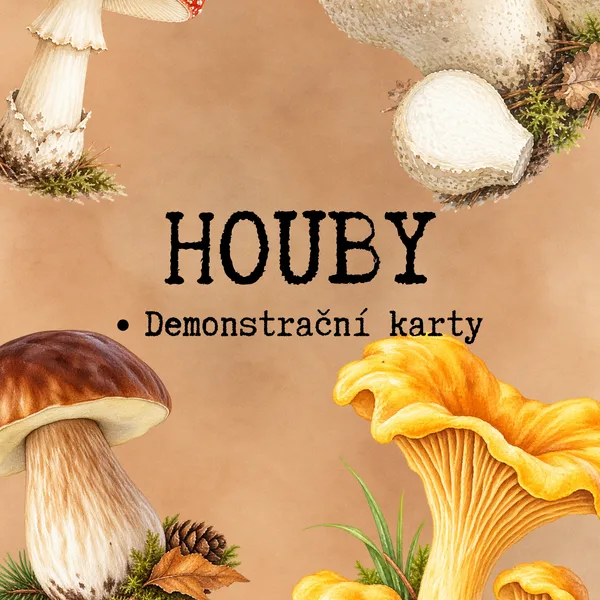 Houby - demonstrační karty