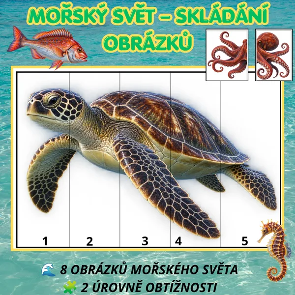 🐬 MOŘSKÝ SVĚT – SKLÁDÁNÍ OBRÁZKŮ | 2 ÚROVNĚ OBTÍŽNOSTI