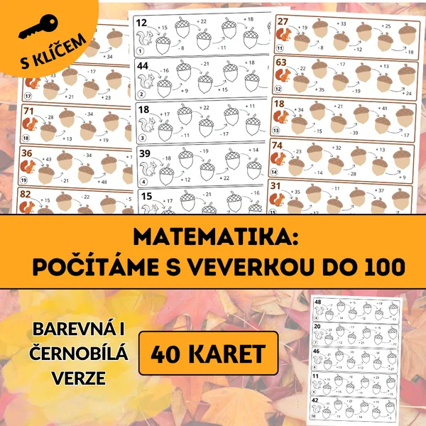Matematika: Počítáme s veverkou do 100
