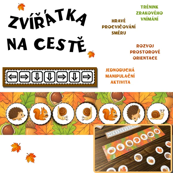 Zvířátka na cestě - určování směru