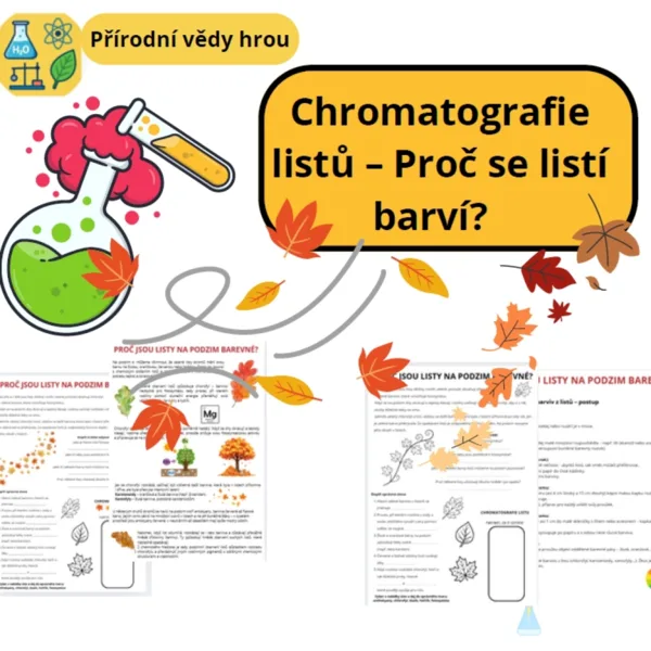 Barevná podzimní chemie_Chromatografie listů
