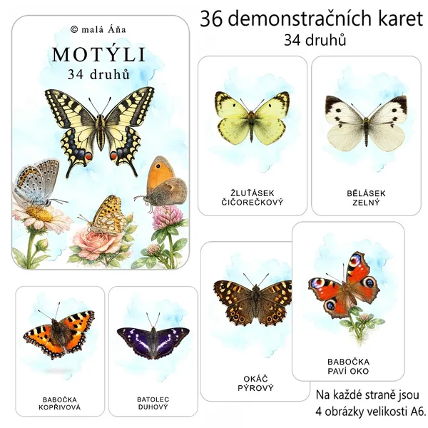 MOTÝLI - 36 demonstračních karet