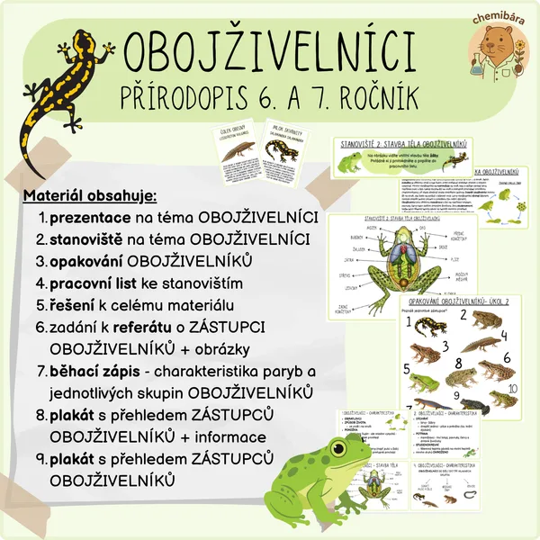 Obojživelníci - sestav si vlastní hodinu