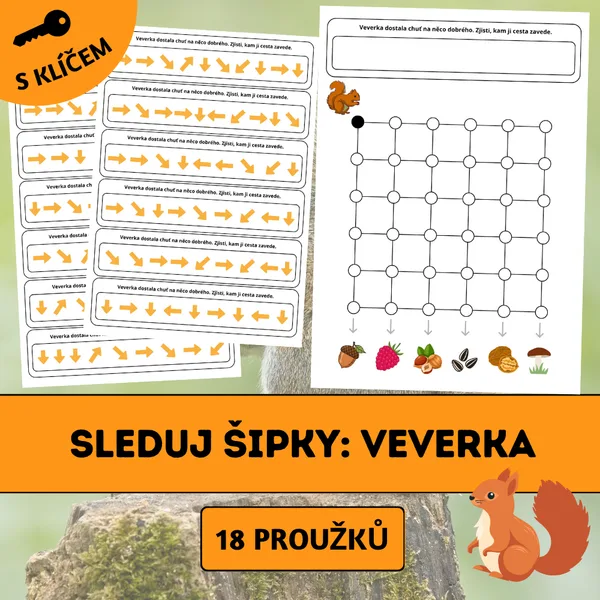 Sleduj šipky: Veverka