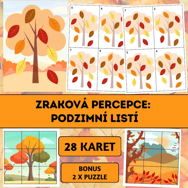 Zraková percepce: Podzimní listí
