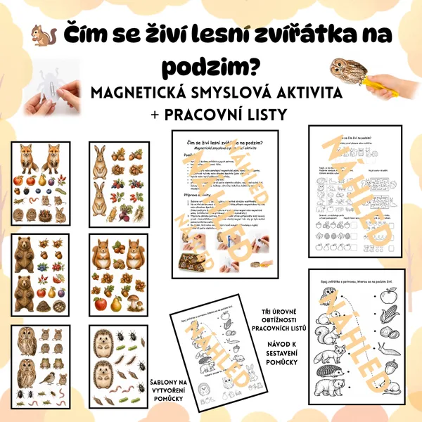 🐿 Čím se živí lesní zvířátka na podzim? | Magnetická smyslová aktivita + pracovní listy