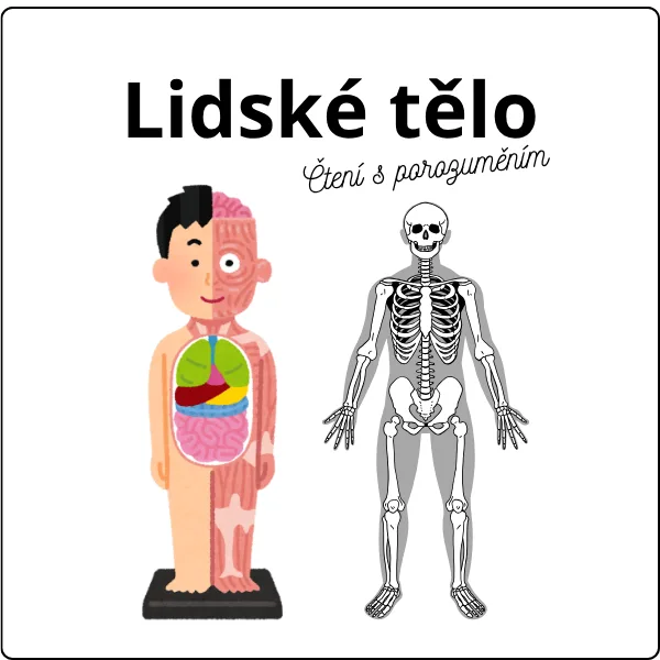 Lidské tělo (čtení s porozuměním)