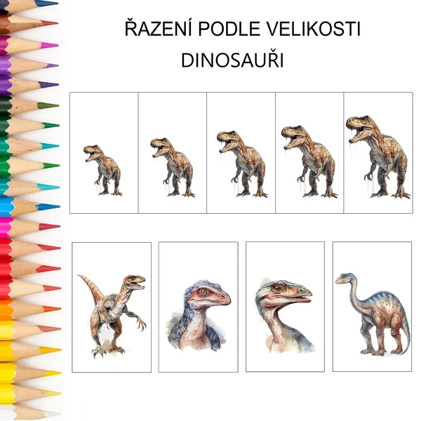 Řazení podle velikosti DINOSAUŘI