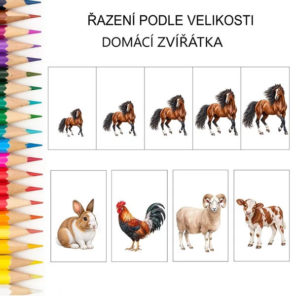 Řazení podle velikosti DOMÁCÍ ZVÍŘATA 2