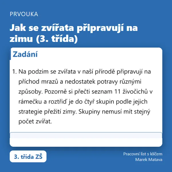🐿️ Jak se zvířata připravují na zimu (3. třída)