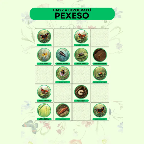 Hmyz a bezobratlí – pexeso