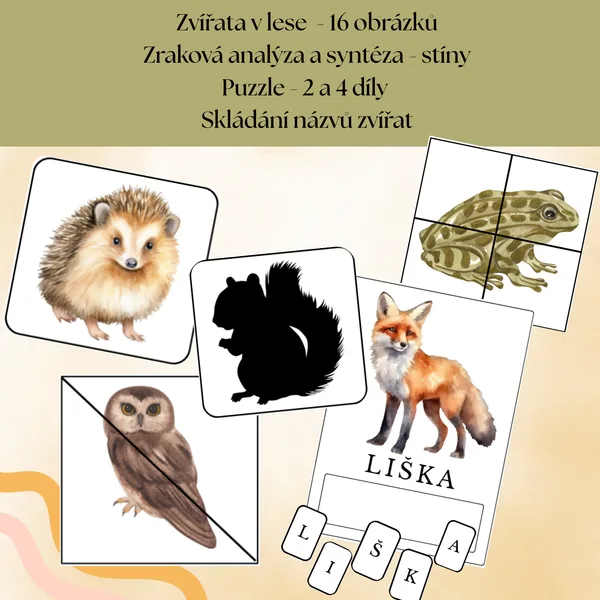 Zvířata v lese 3v1