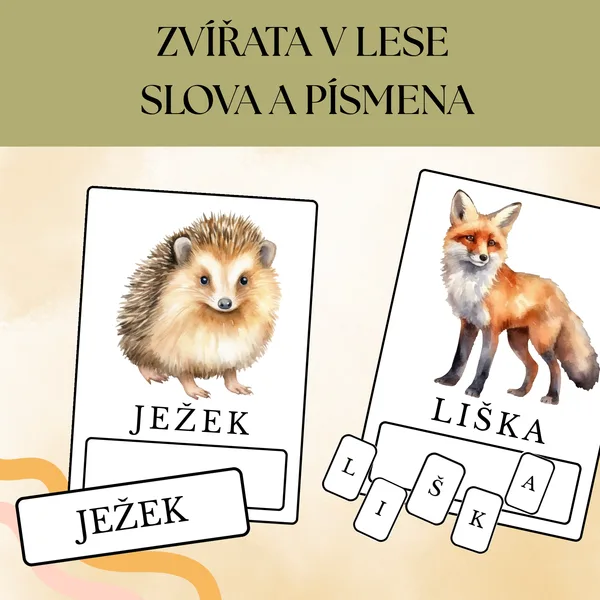 Zvířata v lese - slova a písmena