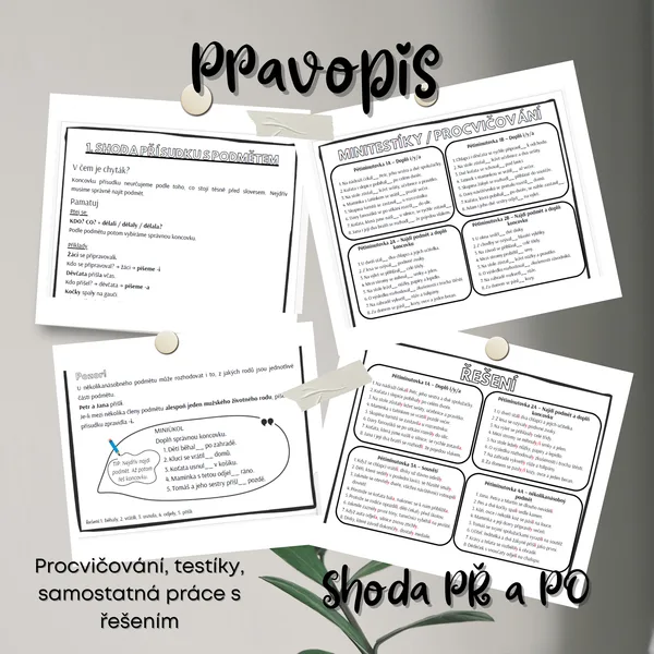 Shoda přísudku s podmětem