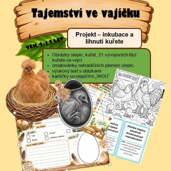 Líhnutí kuřete, aneb zázrak ve vajíčku