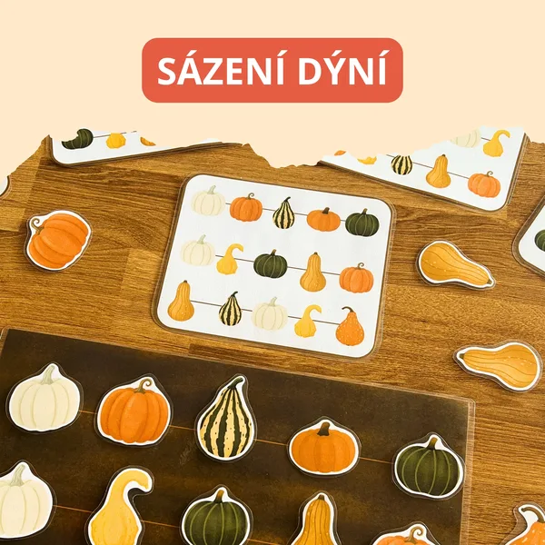 Sázení dýní do řádku